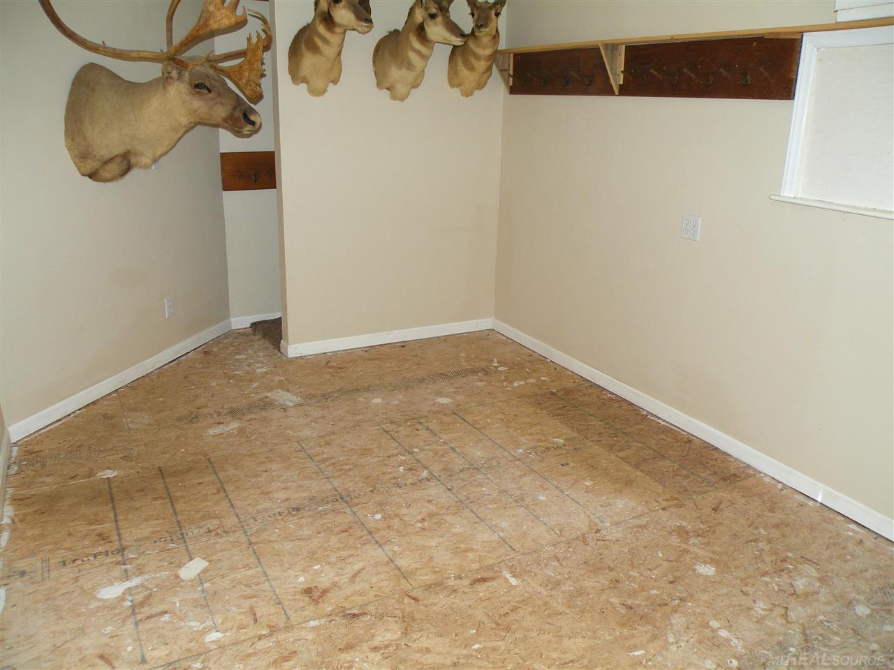 7130 French Line Road Applegate, MI 48401 - Photo 8 of 14