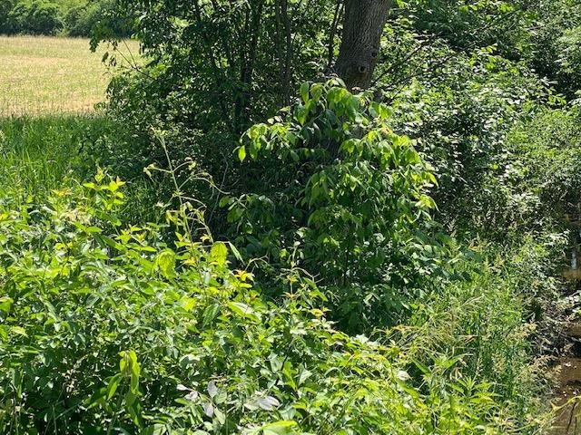 V/l Locust Road South Bend, IN 46614 - Photo 2 of 24 Gallery Image 2