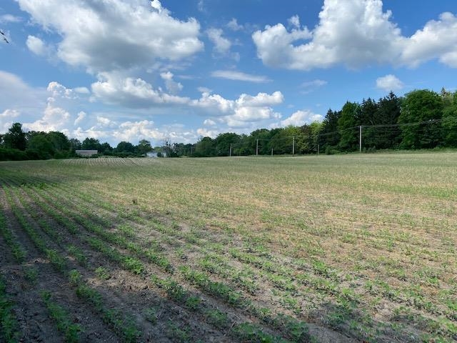 V/l Locust Road South Bend, IN 46614 - Photo 12 of 24 Gallery Image 12