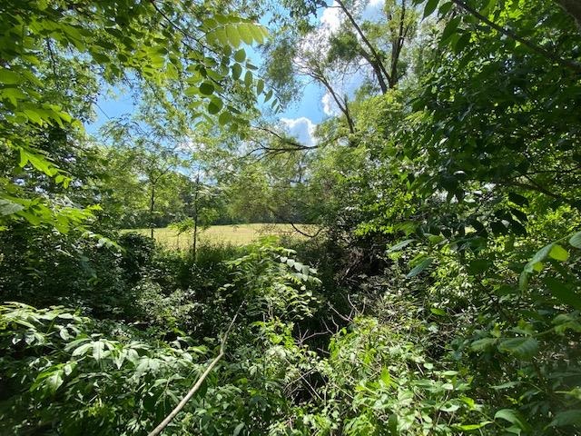 V/l Locust Road South Bend, IN 46614 - Photo 14 of 24 Gallery Image 14