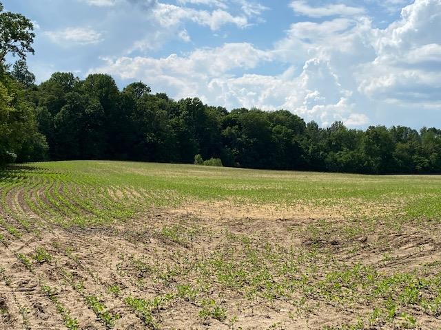 V/l Locust Road South Bend, IN 46614 - Photo 17 of 24 Gallery Image 17