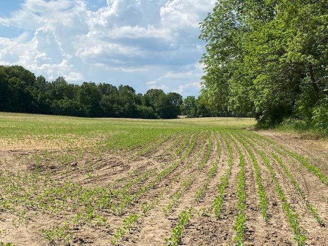 V/l Locust Road South Bend, IN 46614 - Photo 18 of 24 Gallery Image 18
