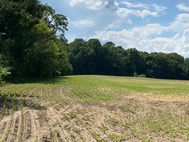 V/l Locust Road South Bend, IN 46614 - Photo 19 of 24 Gallery Image 19