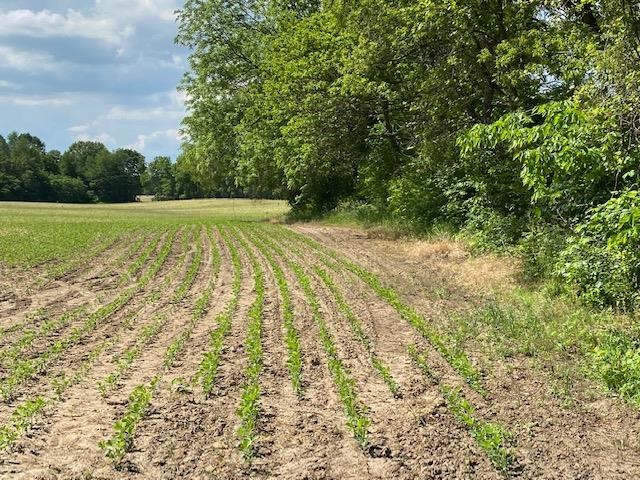 V/l Locust Road South Bend, IN 46614 - Photo 20 of 24 Gallery Image 20