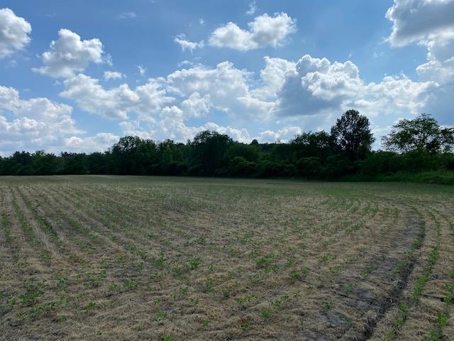 V/l Locust Road South Bend, IN 46614 - Photo 3 of 24 Gallery Image 3