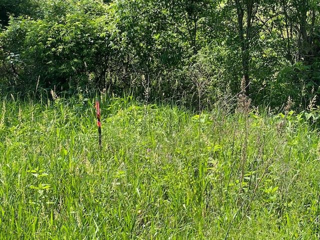 V/l Locust Road South Bend, IN 46614 - Photo 24 of 24 Gallery Image 24