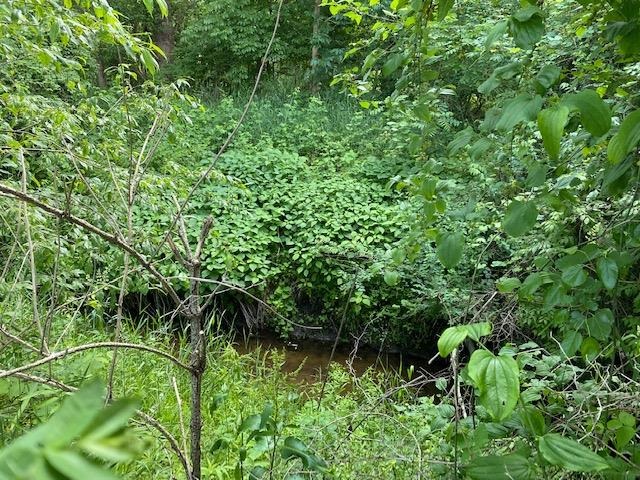 V/l Locust Road South Bend, IN 46614 - Photo 7 of 24 Gallery Image 7