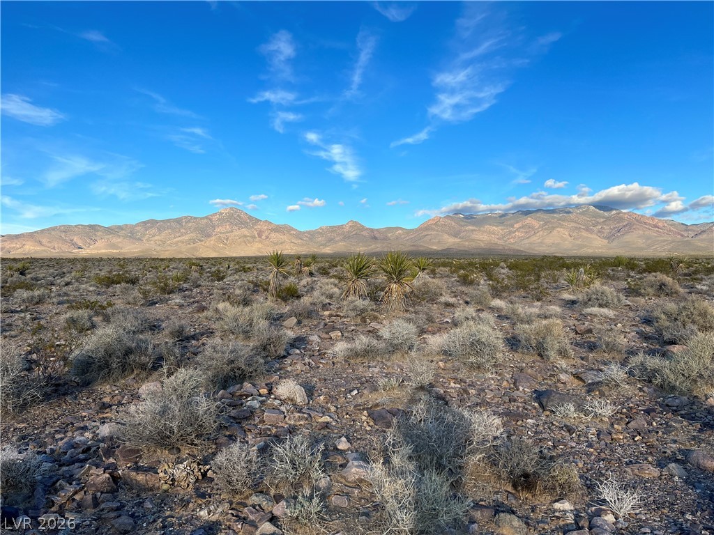 560 Ohio Road Pahrump, NV 89060 - Photo 8 of 10