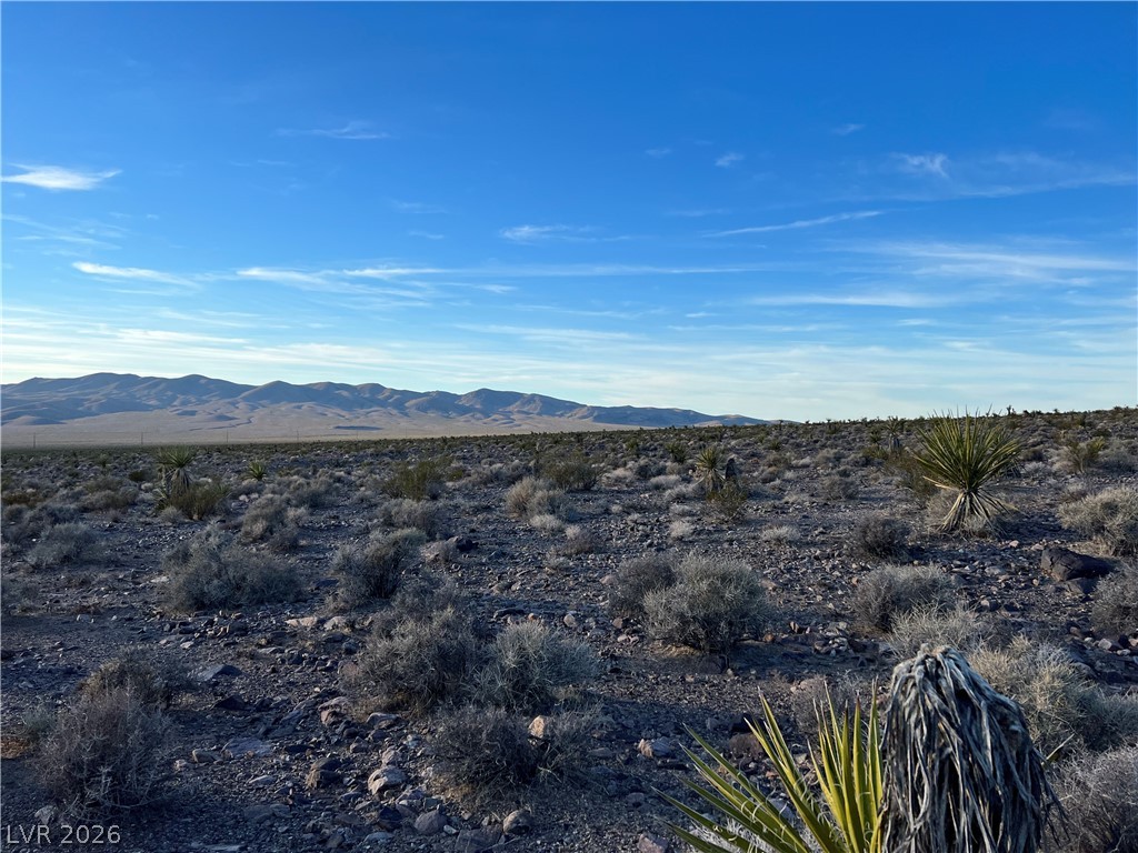 560 Ohio Road Pahrump, NV 89060 - Photo 9 of 10