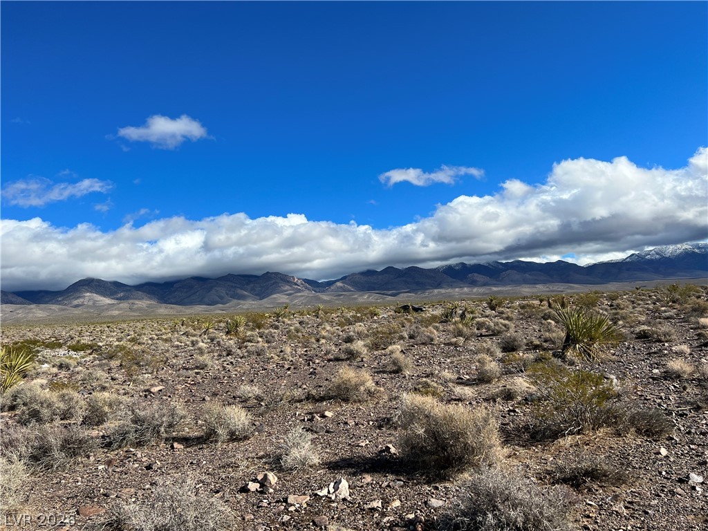 560 Ohio Road Pahrump, NV 89060 - Photo 10 of 10