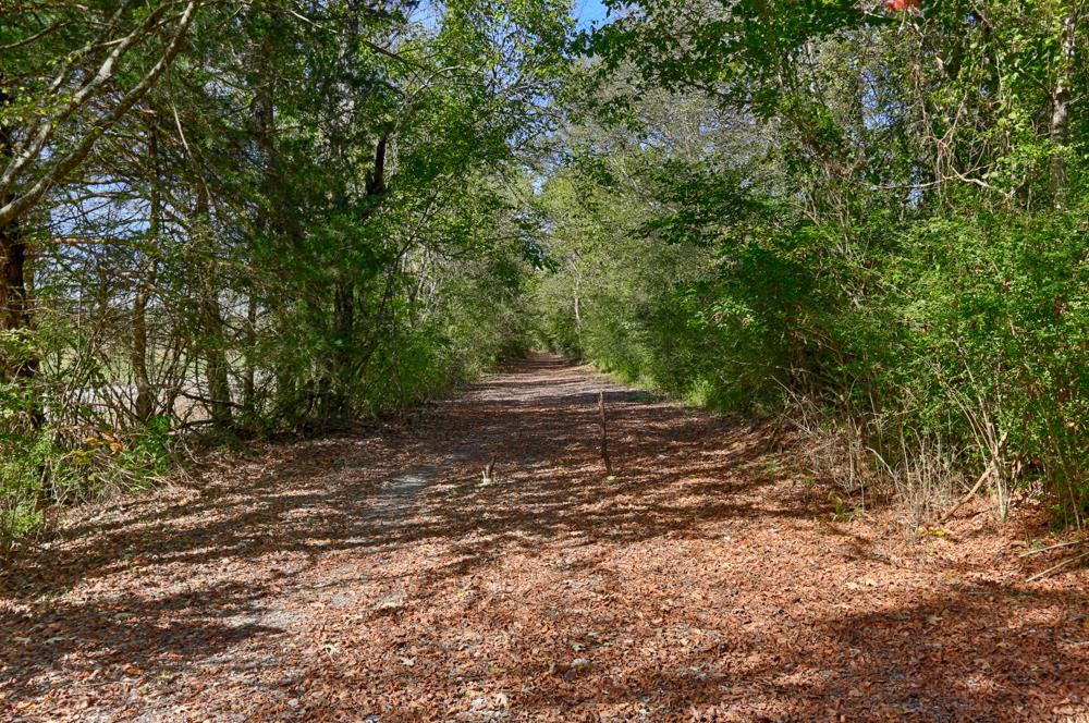 28861 Veto Road Elkmont, AL 35620 - Photo 12 of 29 a view of outdoor space and yard