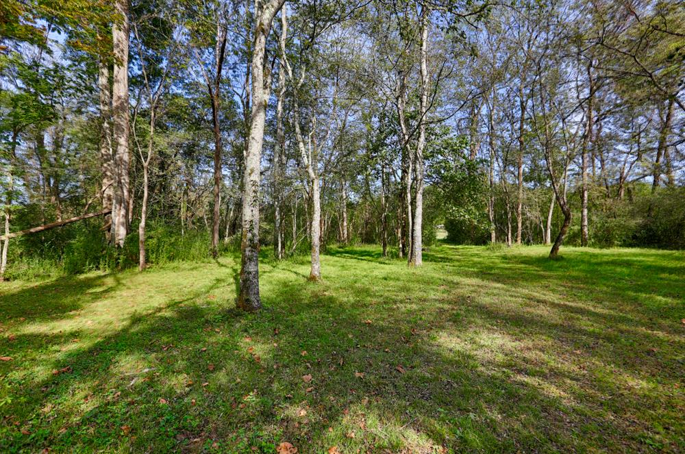 28861 Veto Road Elkmont, AL 35620 - Photo 17 of 29 a ground with lots of trees