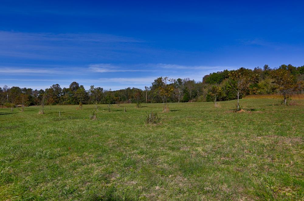 28861 Veto Road Elkmont, AL 35620 - Photo 5 of 29 a view of a field with an ocean