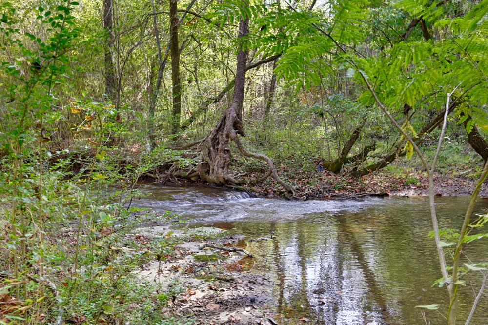 28861 Veto Road Elkmont, AL 35620 - Photo 7 of 29 a view of lake