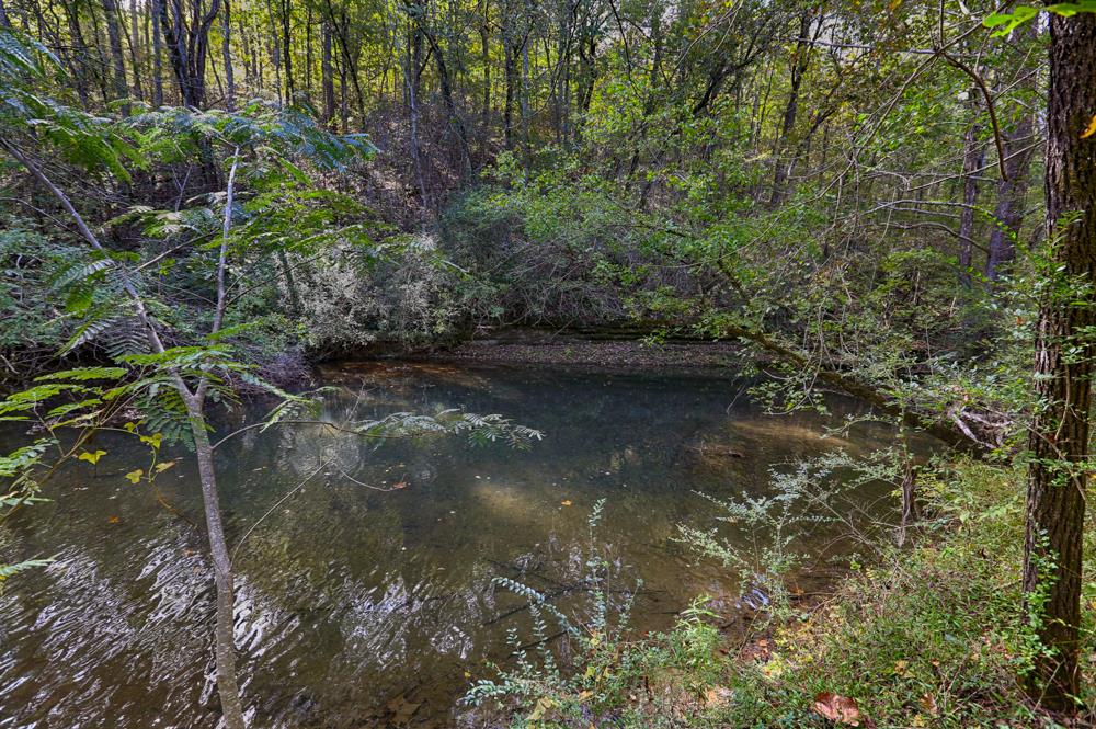 28861 Veto Road Elkmont, AL 35620 - Photo 8 of 29 a view of water with a tree