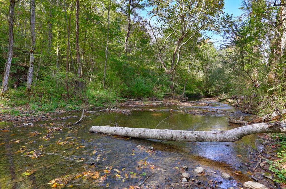 28861 Veto Road Elkmont, AL 35620 - Photo 9 of 29 a view of swimming pool with a yard