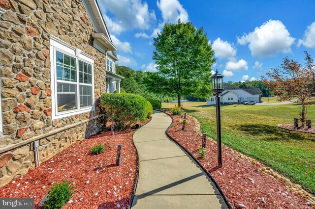 a view of a garden with an outdoor space