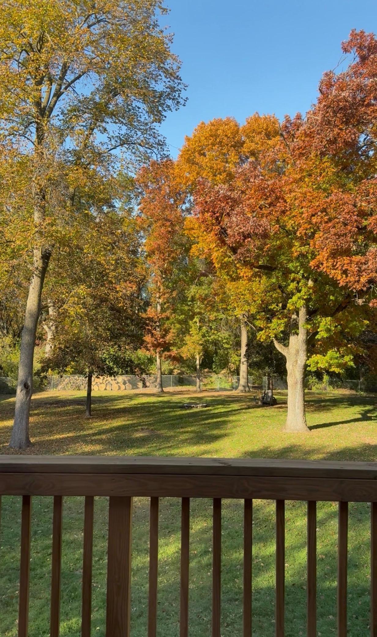 677 Highway 96 West Shoreview, MN 55126 - Photo 16 of 77