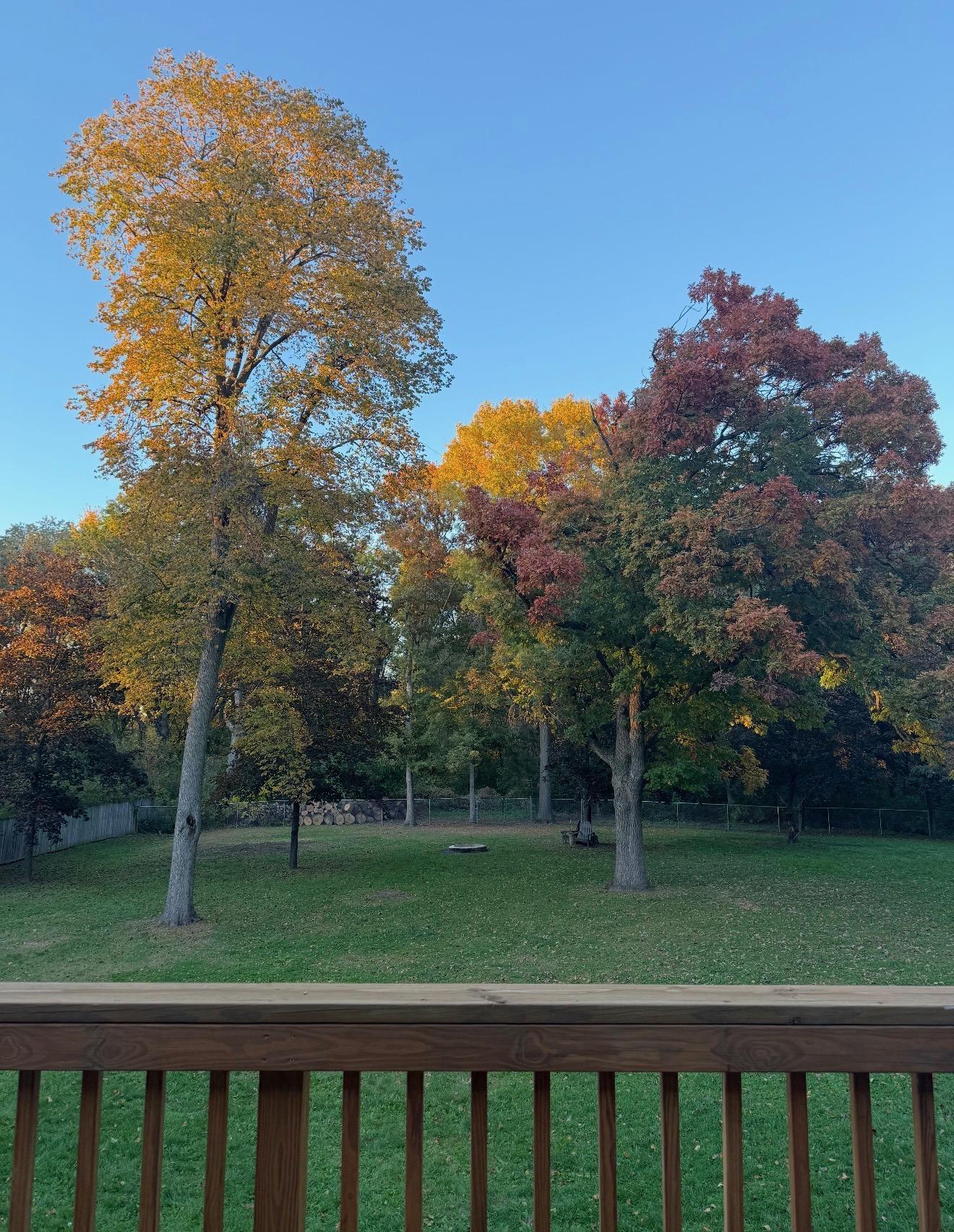 677 Highway 96 West Shoreview, MN 55126 - Photo 17 of 77