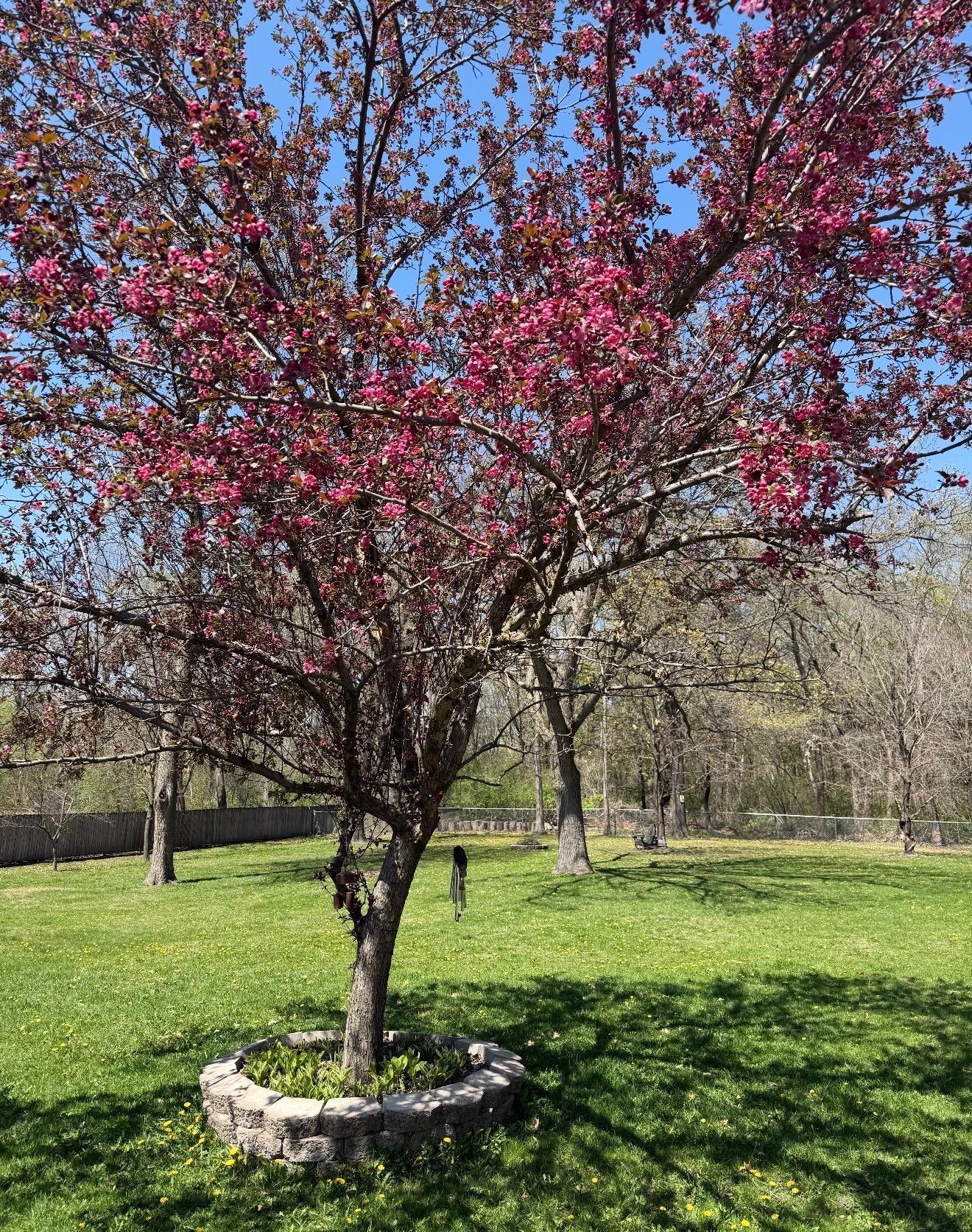 677 Highway 96 West Shoreview, MN 55126 - Photo 19 of 77
