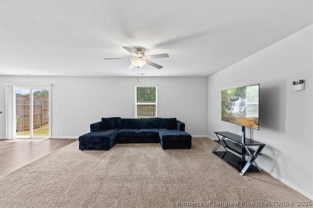 344 Rustling Way Zebulon, NC 27597 - Photo 20 of 50