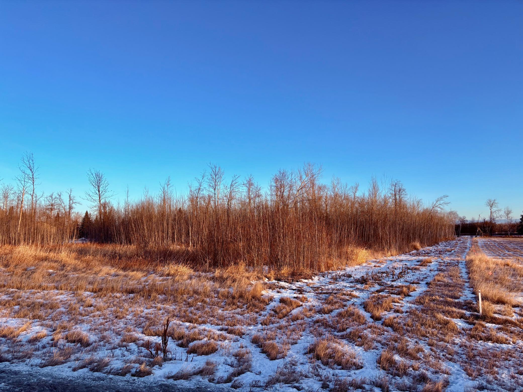 Lot 1 Hooper Creek Loop Baudette, MN 56623 - Photo 6 of 6