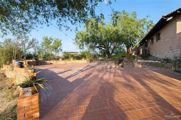 a view of backyard with plants and trees