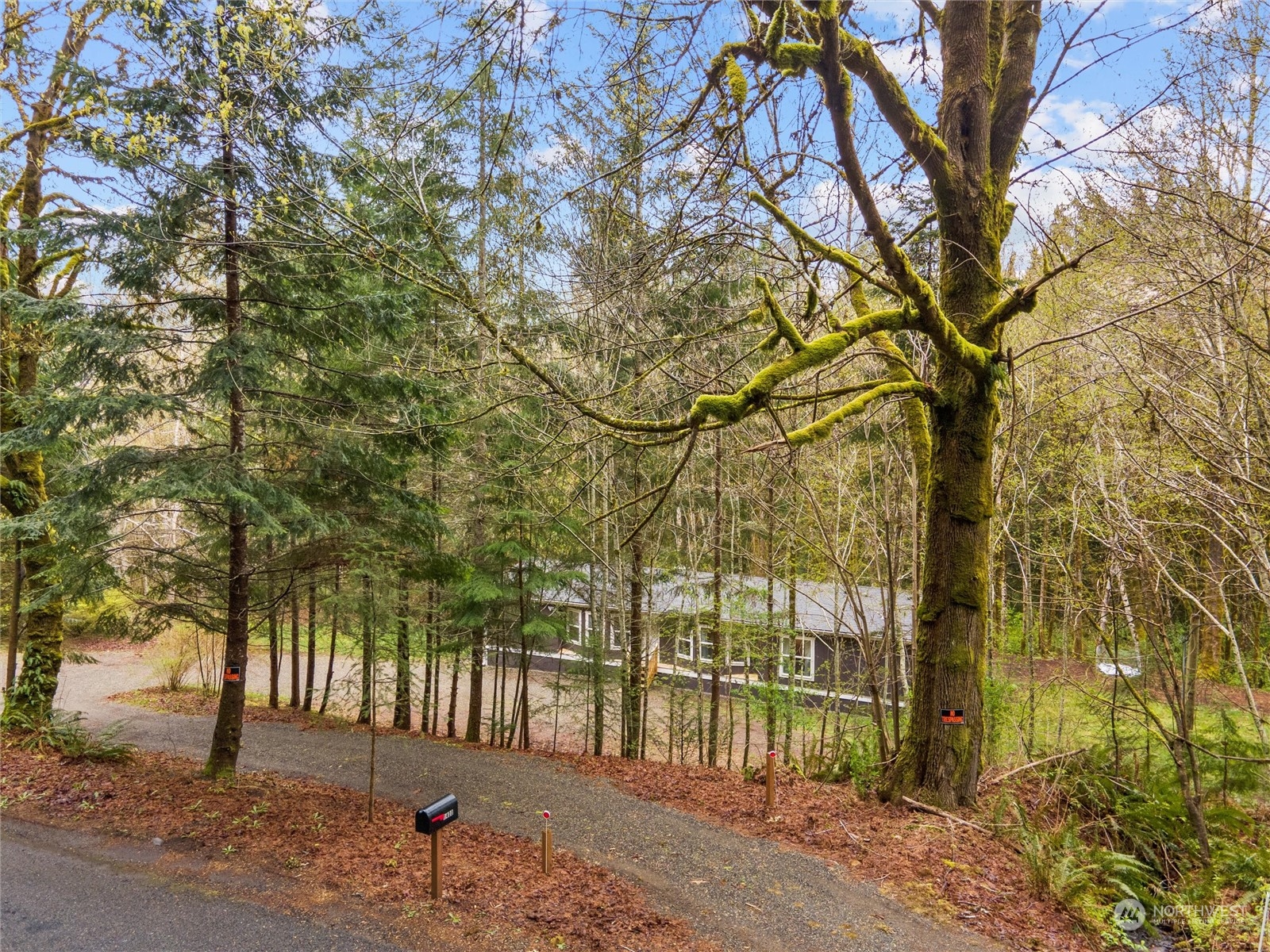 1400 West Deegan Road West Shelton, WA 98584 - Photo 34 of 40 a view of outdoor space and yard