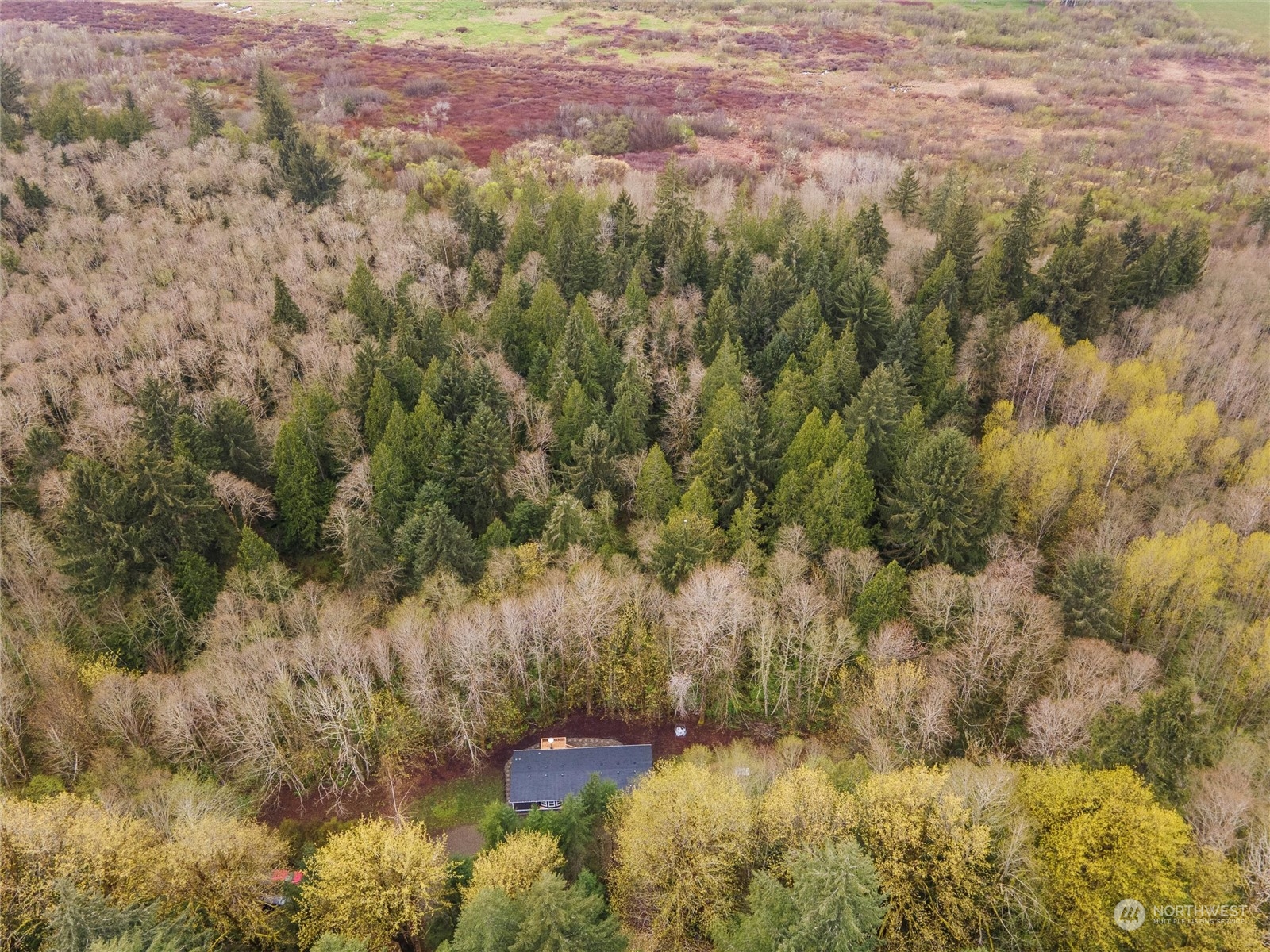 1400 West Deegan Road West Shelton, WA 98584 - Photo 37 of 40 a view of a yard