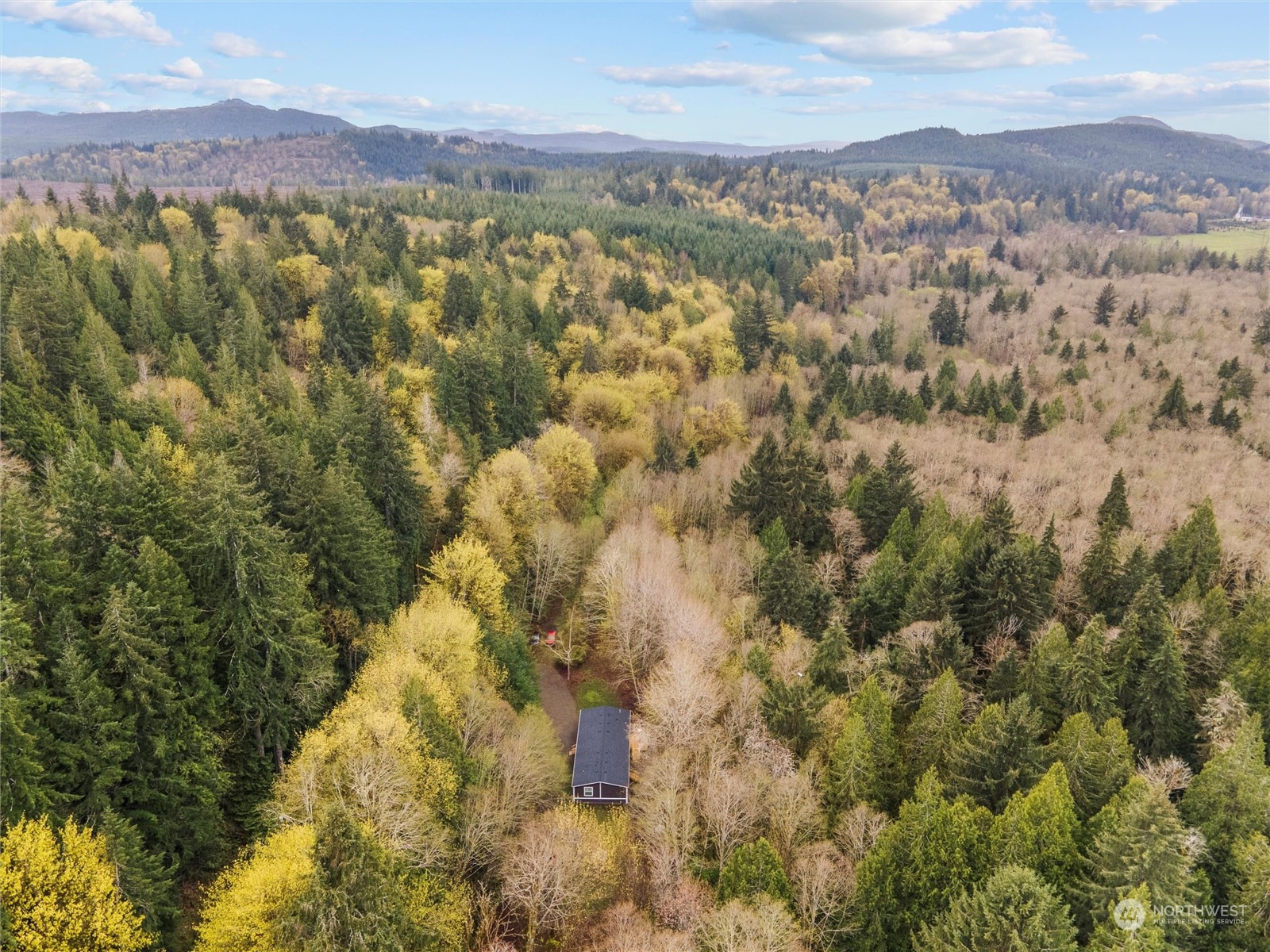 1400 West Deegan Road West Shelton, WA 98584 - Photo 39 of 40 a view of a city with mountain