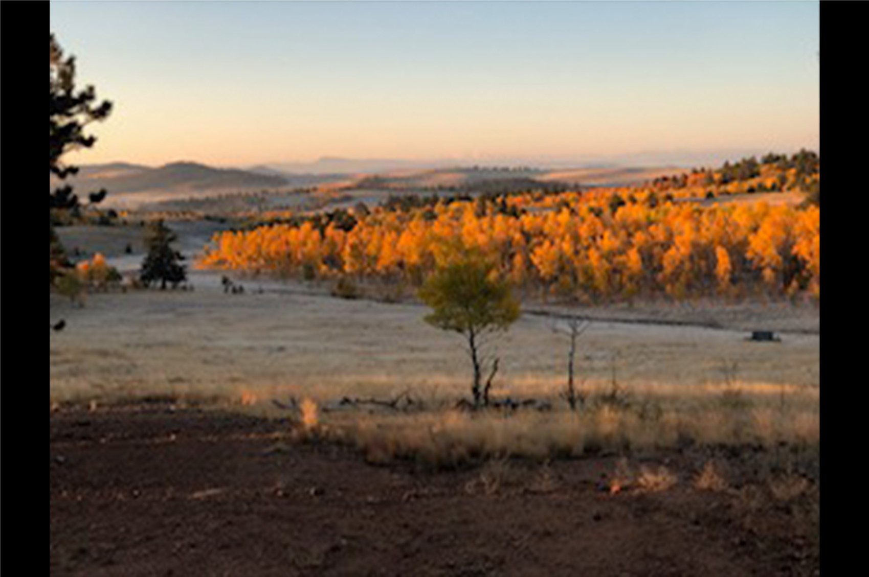 4134 Buffalo Ridge Road Como, CO 80432 - Photo 41 of 41 Gallery Image 41