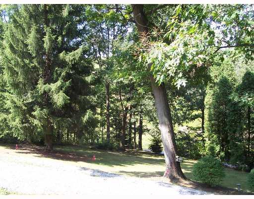 339 Taffy Run Road Rochester, PA 15074 - Photo 2 of 12 Land/Lot. Tucked away behind the trees & the pines