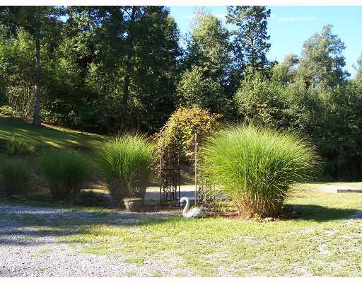 339 Taffy Run Road Rochester, PA 15074 - Photo 12 of 12 Land/Lot. Enjoy peace & quiet
