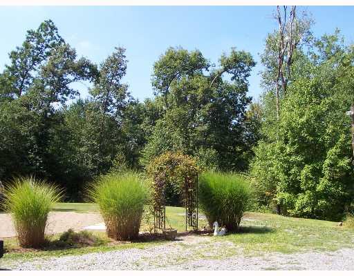 339 Taffy Run Road Rochester, PA 15074 - Photo 3 of 12 Land. Lots of Room for activities