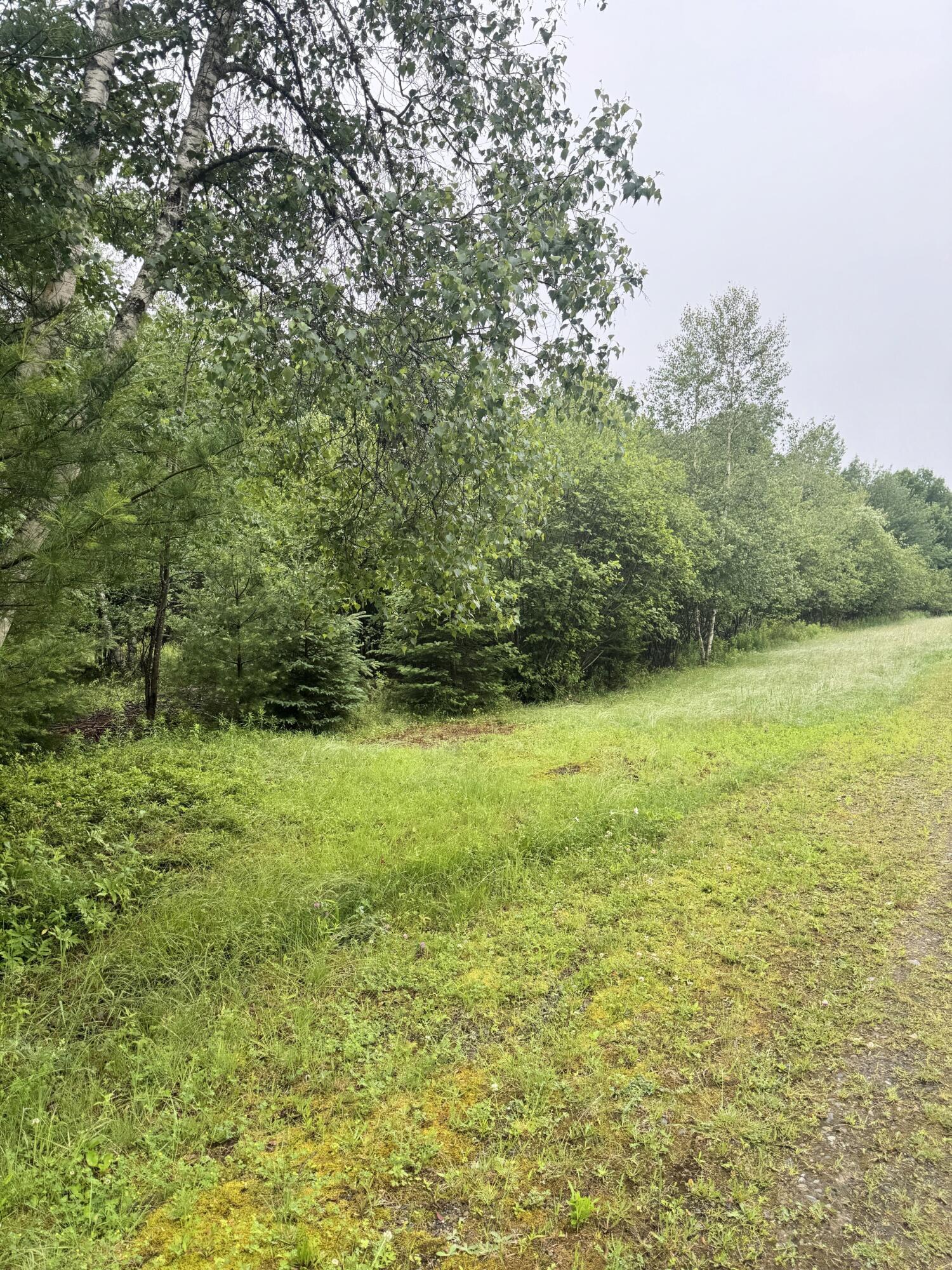 0 Williams Pond Road Bucksport, ME 04416 - Photo 2 of 5 IMG_3939