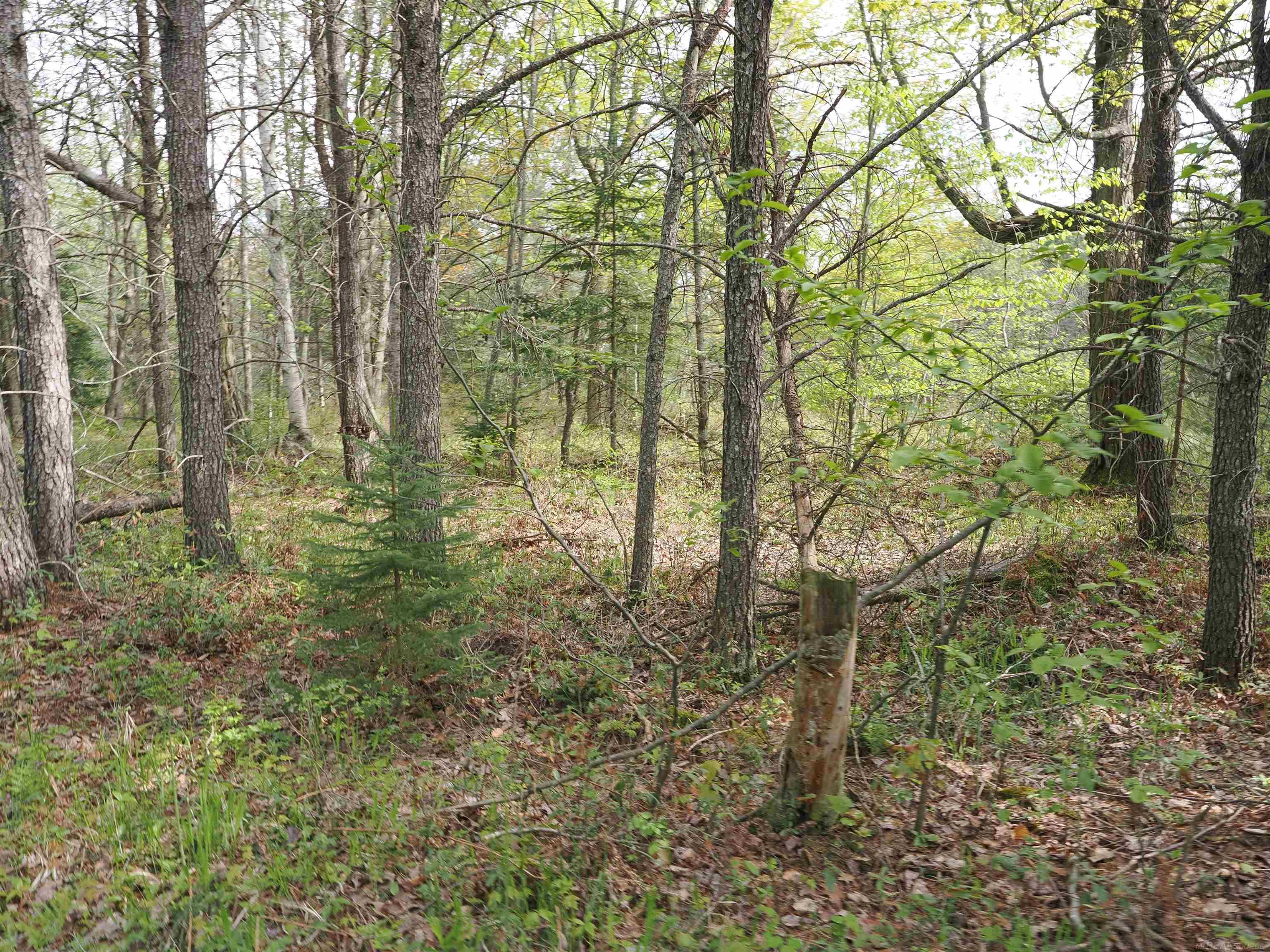 4011 Sandall Road Alpena, MI 49707 - Photo 57 of 73