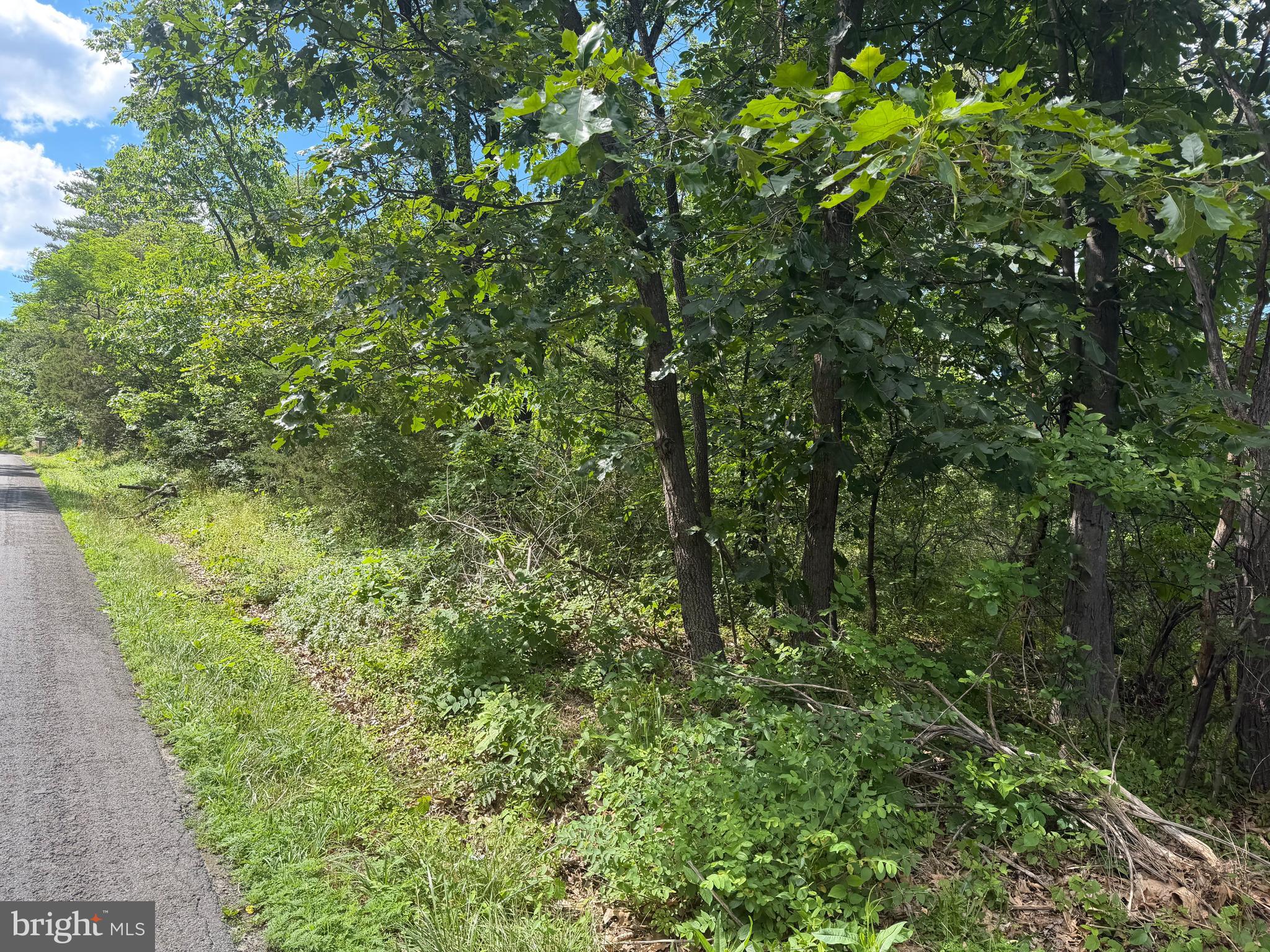 Lot 13 Redbud Road Winchester, VA 22603 - Photo 3 of 4