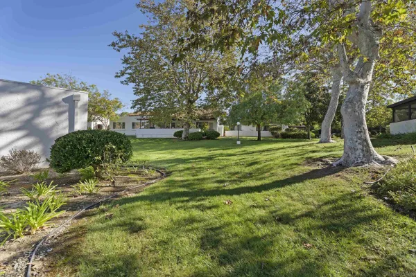a view of a park with large trees
