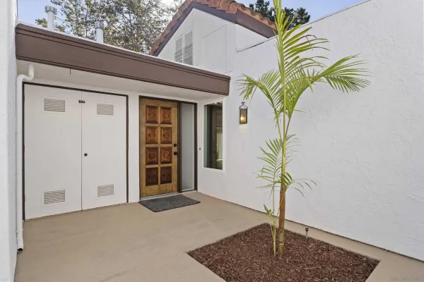 a potted plant in front of a door