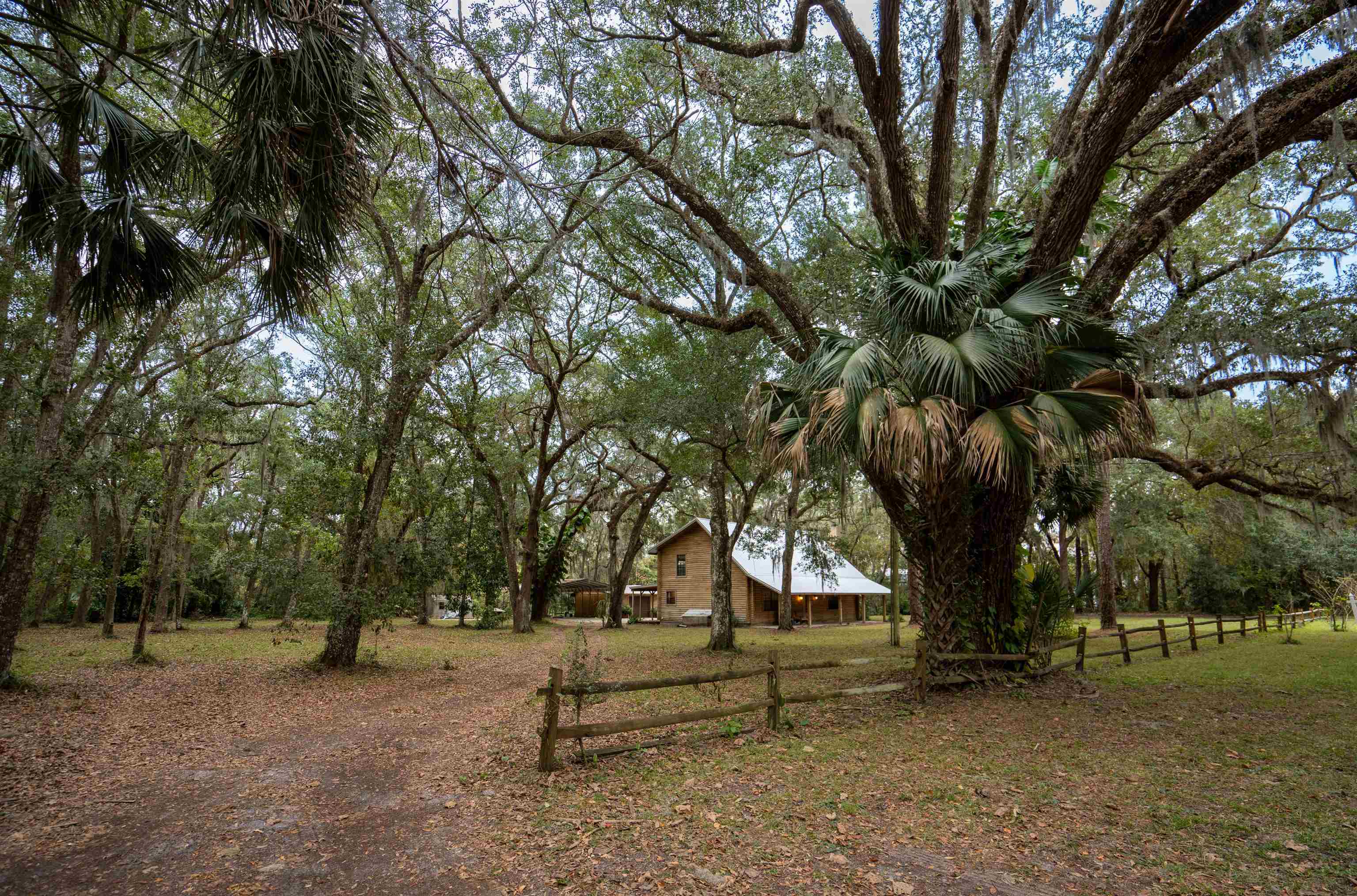 5850 Capo Island Road St. Augustine, FL 32095 - Photo 38 of 39 a park view with large trees