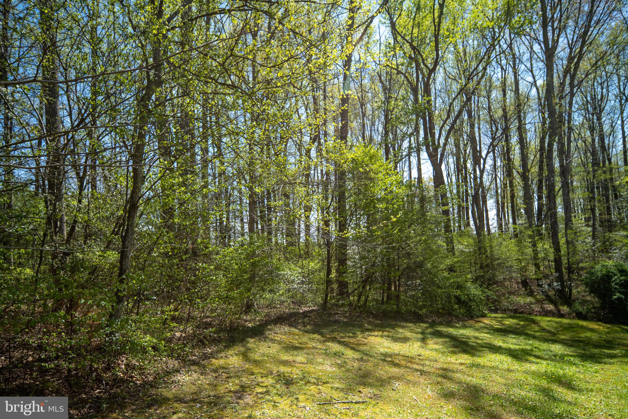 6628 Partlow Road Spotsylvania, VA 22551 - Photo 56 of 58 Gallery Image 56