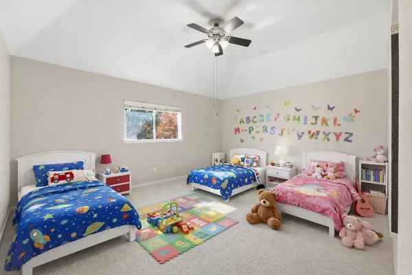 a view of a garden with a slide