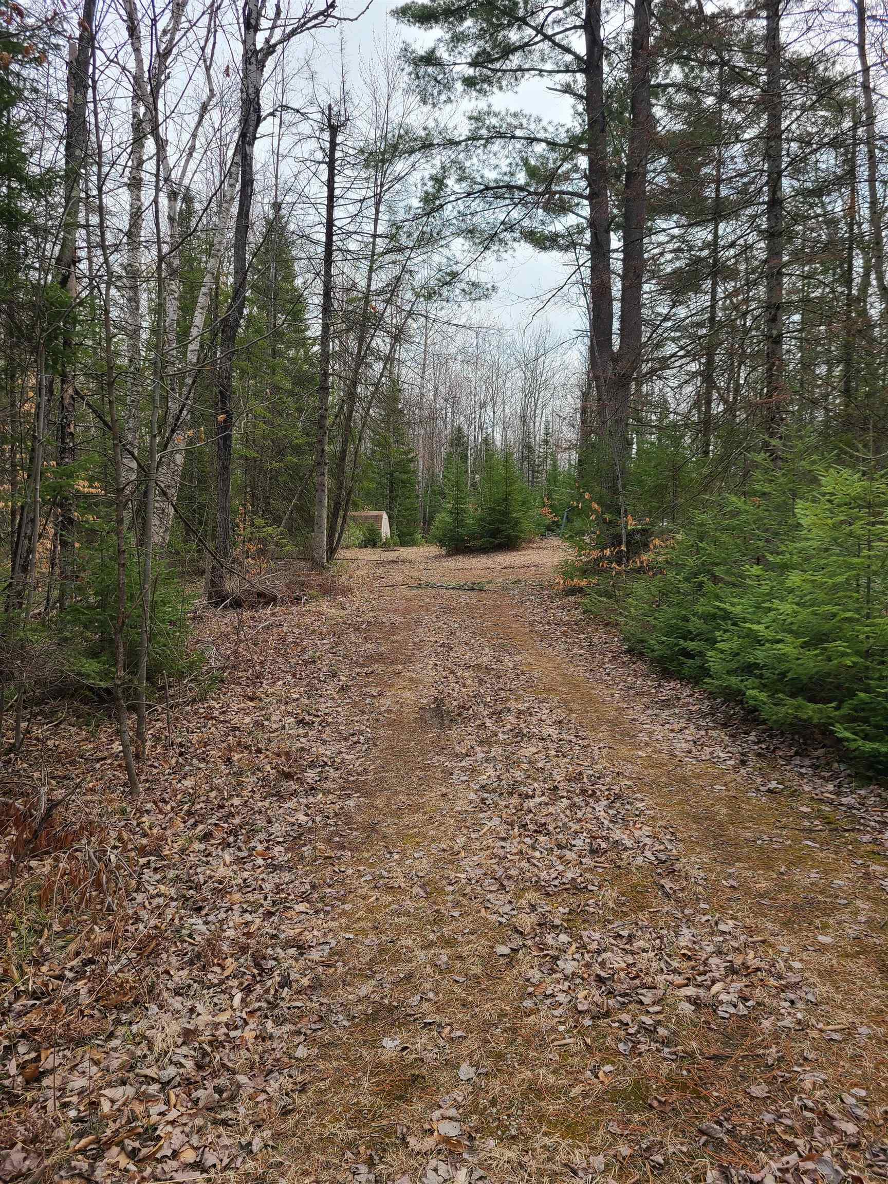 N9138 Pines Road Wausaukee, WI 54177 - Photo 1 of 1 Gallery Image 1