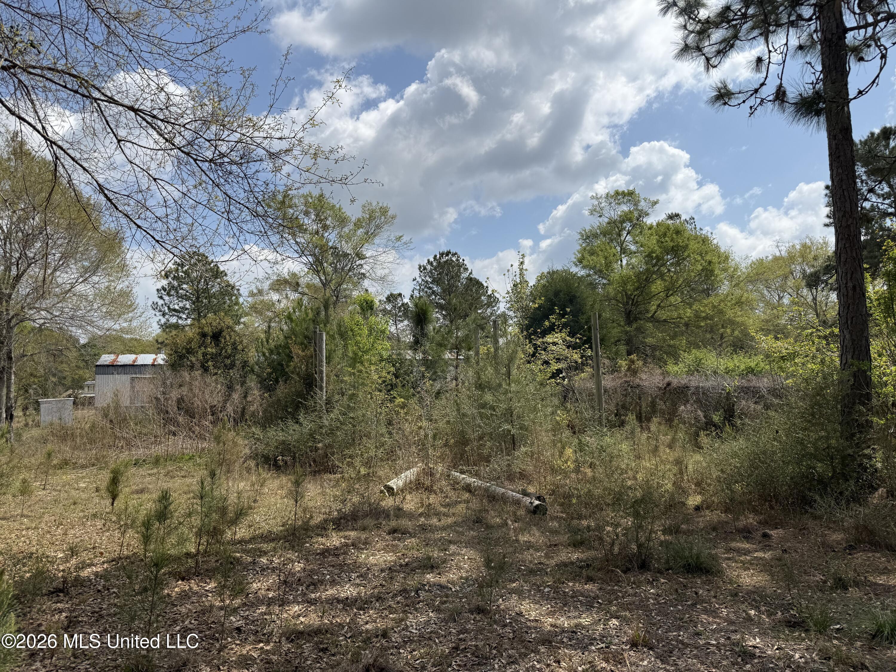 21497 Sadler Road Saucier, MS 39574 - Photo 8 of 13 IMG_6493