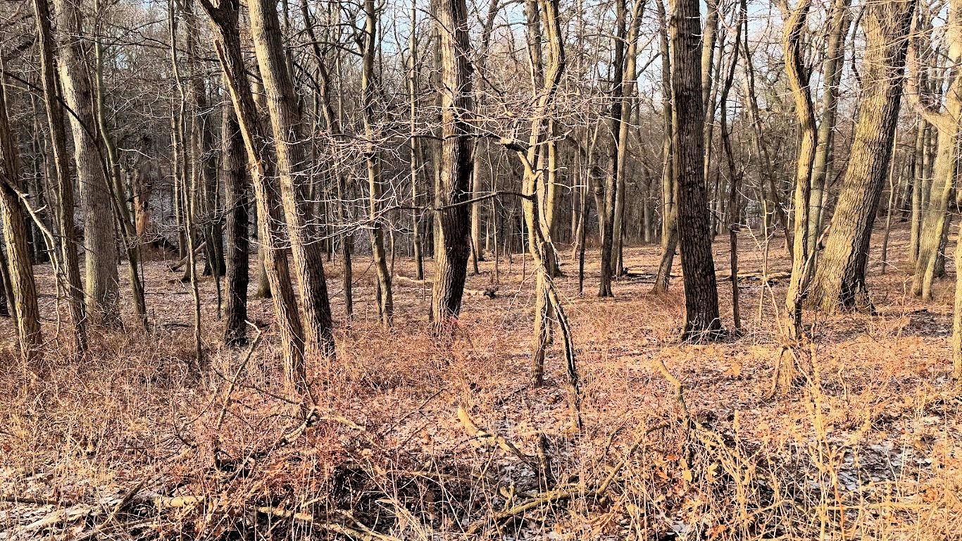 56 Redhawk Trail Baraboo, WI 53913 - Photo 3 of 26