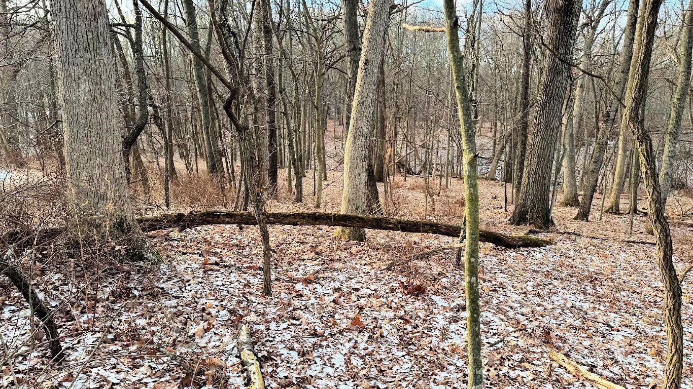 56 Redhawk Trail Baraboo, WI 53913 - Photo 5 of 26