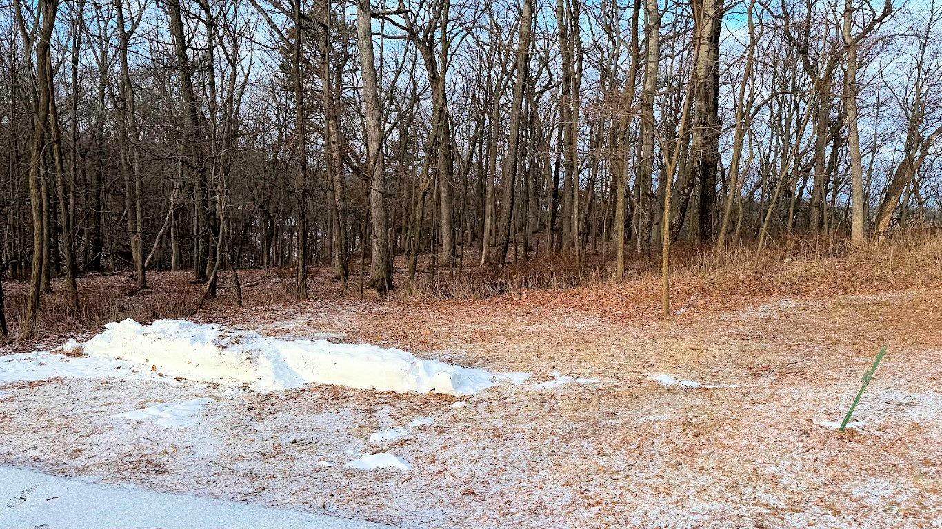 56 Redhawk Trail Baraboo, WI 53913 - Photo 8 of 26