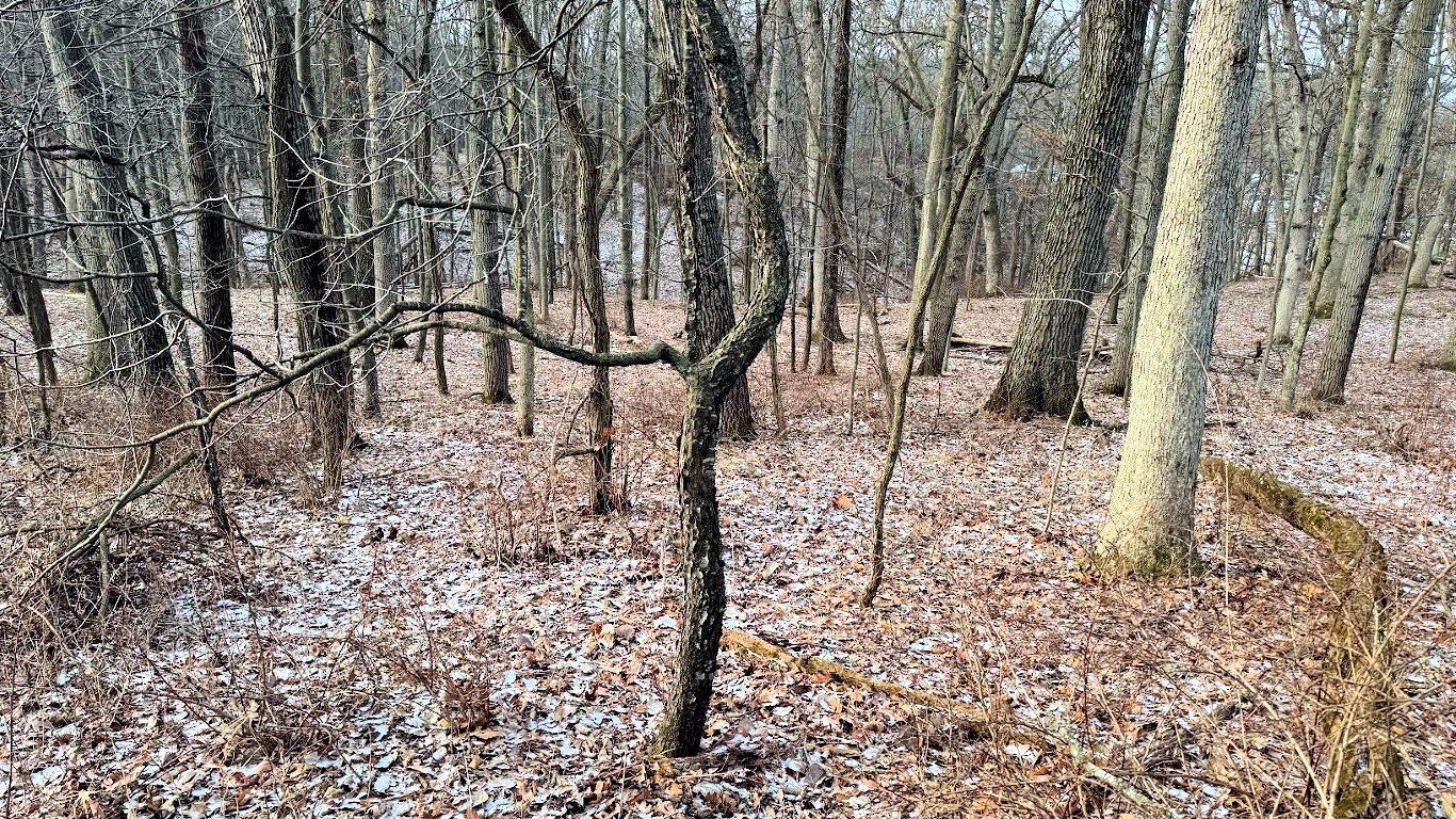 56 Redhawk Trail Baraboo, WI 53913 - Photo 10 of 26