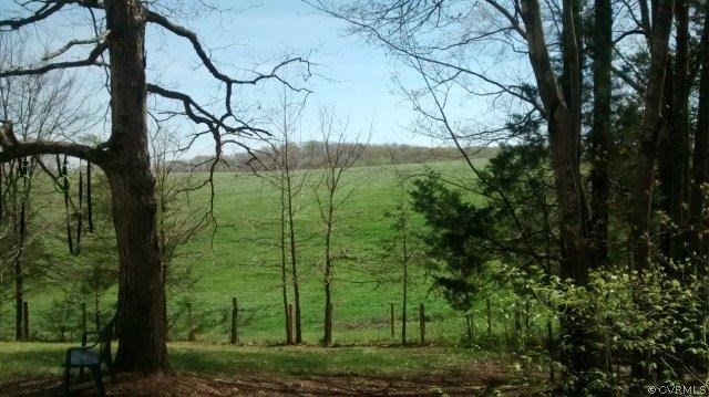 934 Sheppards Road Farmville, VA 23901 - Photo 8 of 8 a view of a yard