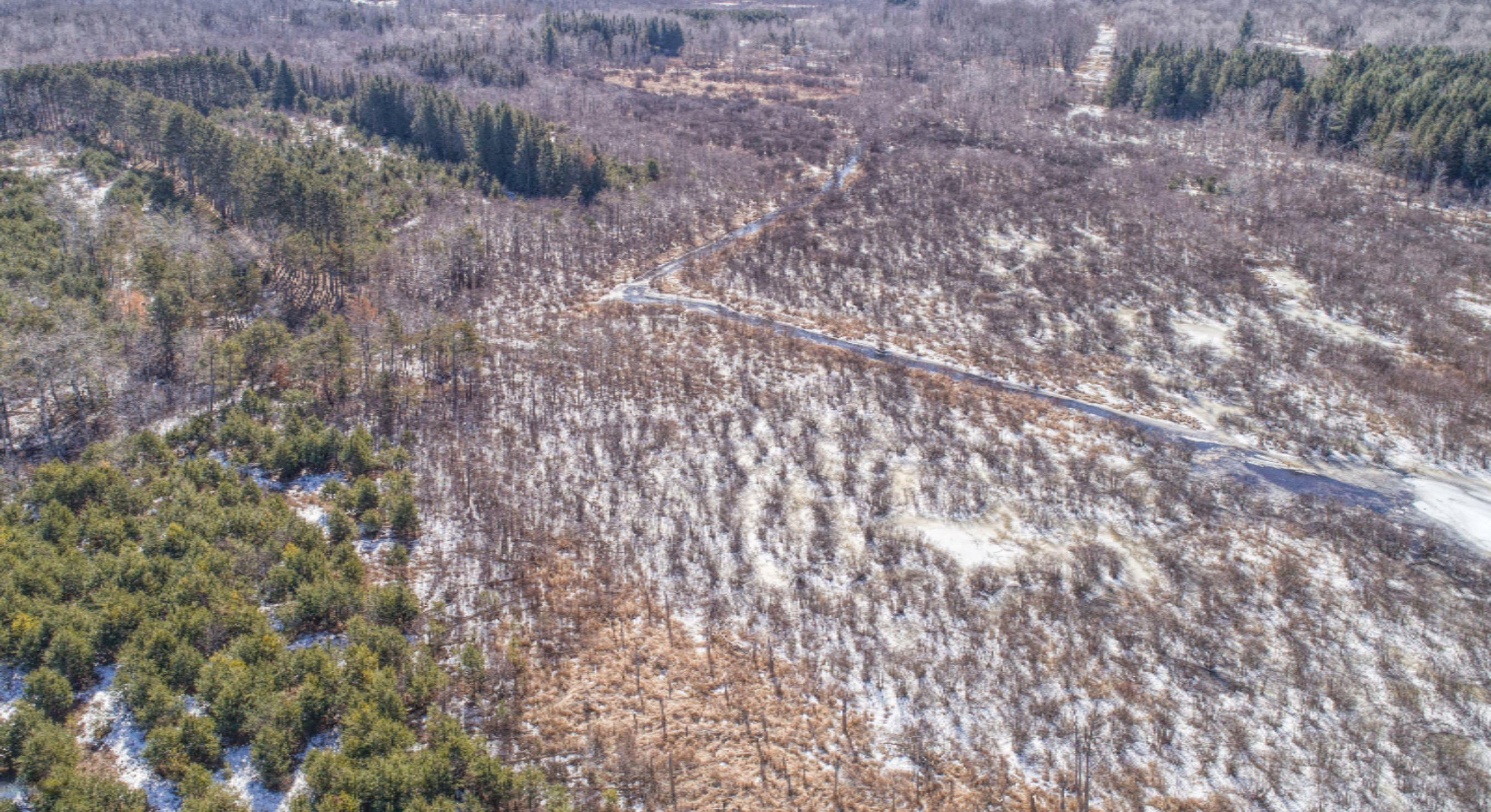 1136 7 Mile Road Sears, MI 49679 - Photo 7 of 9 DJI_0949